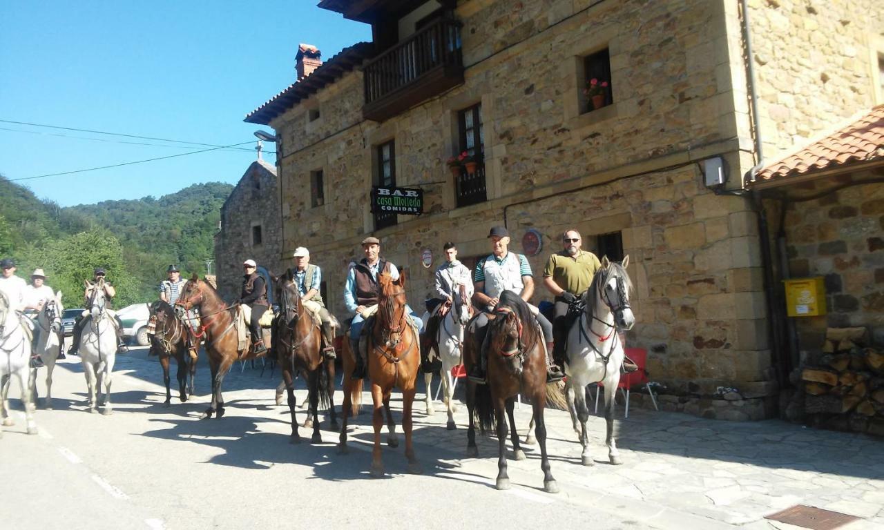 Posada Casa Molleda Pejanda 外观 照片